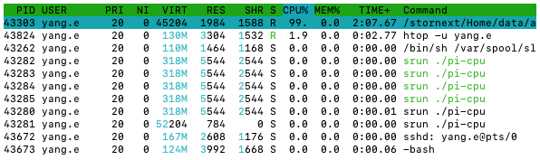 processes associated with pi-cpu