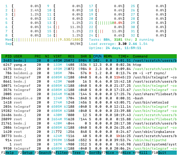 Screenshot of htop output
