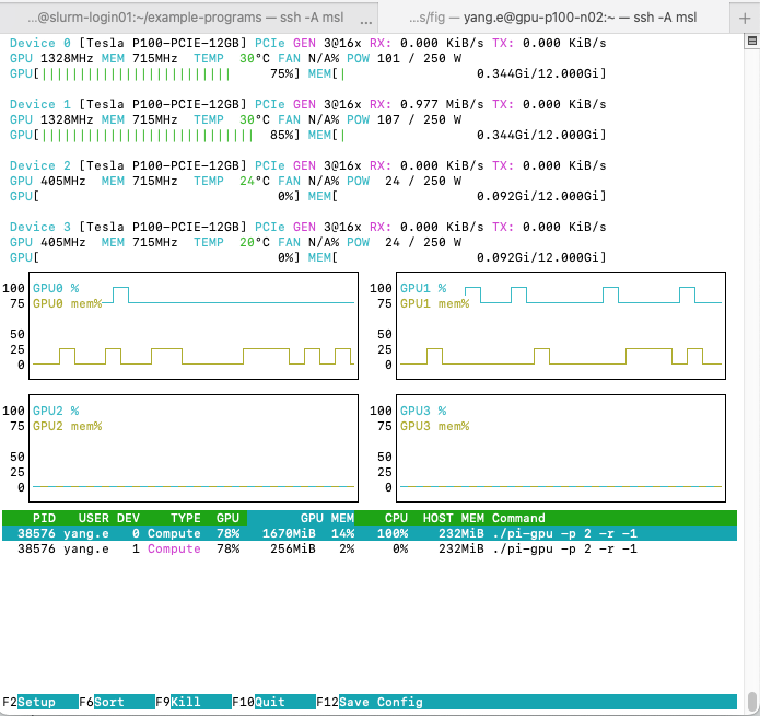 nvtop interface with pi-gpu -p 2 -r -1 running